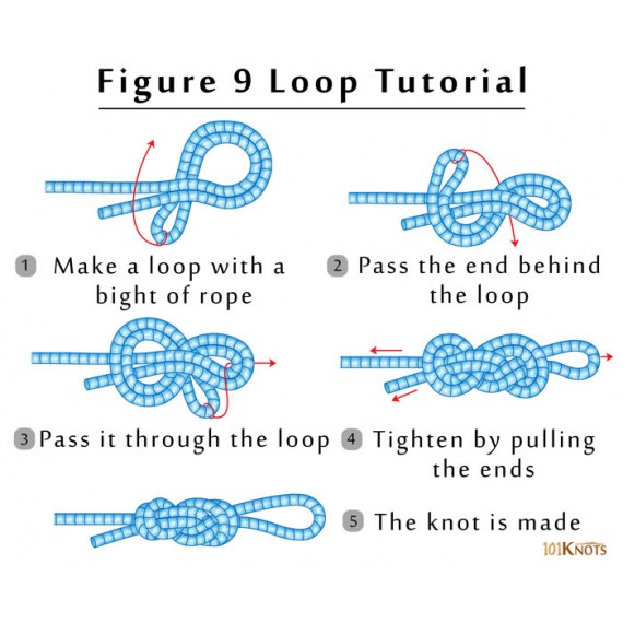 Figure 9 Large